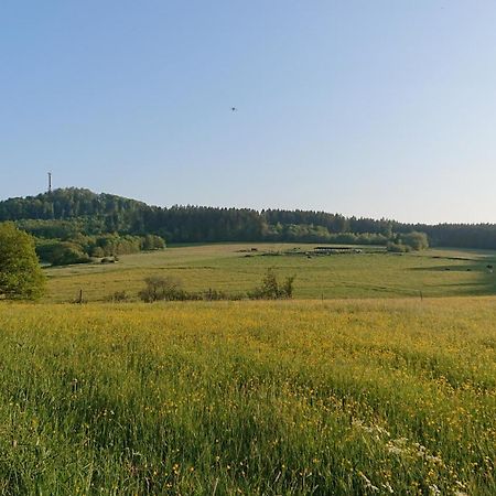 Ferienwohnung Am Hochkelberg Bereborn Exteriér fotografie