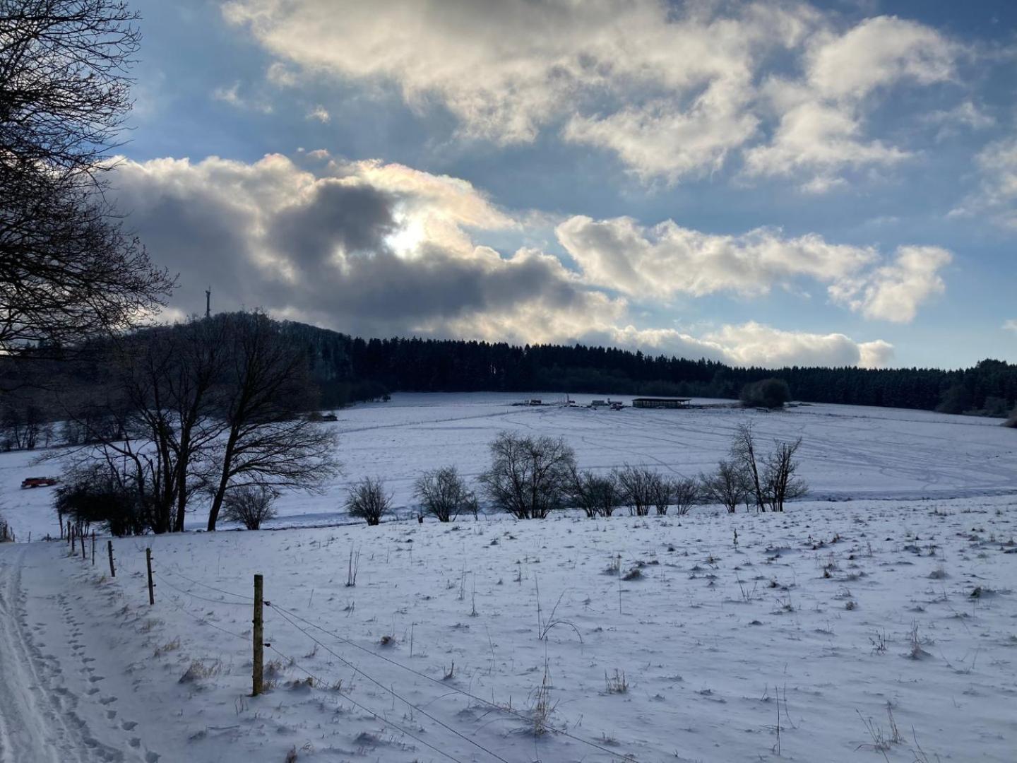 Ferienwohnung Am Hochkelberg Bereborn Exteriér fotografie